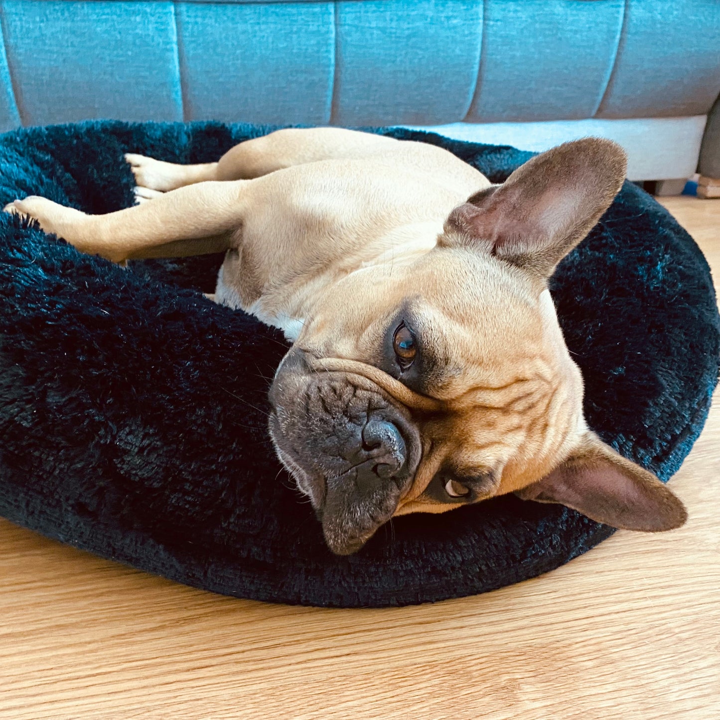 Przytulne legowisko pluszowe FUZZY