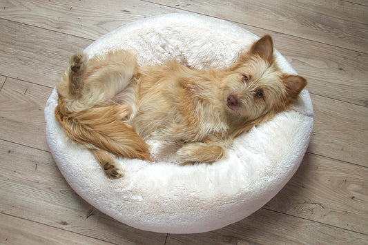 OUTLET przytulne legowisko pluszowe dla psa FUZZY, rozmiar: Ø 70cm, kolor: biały