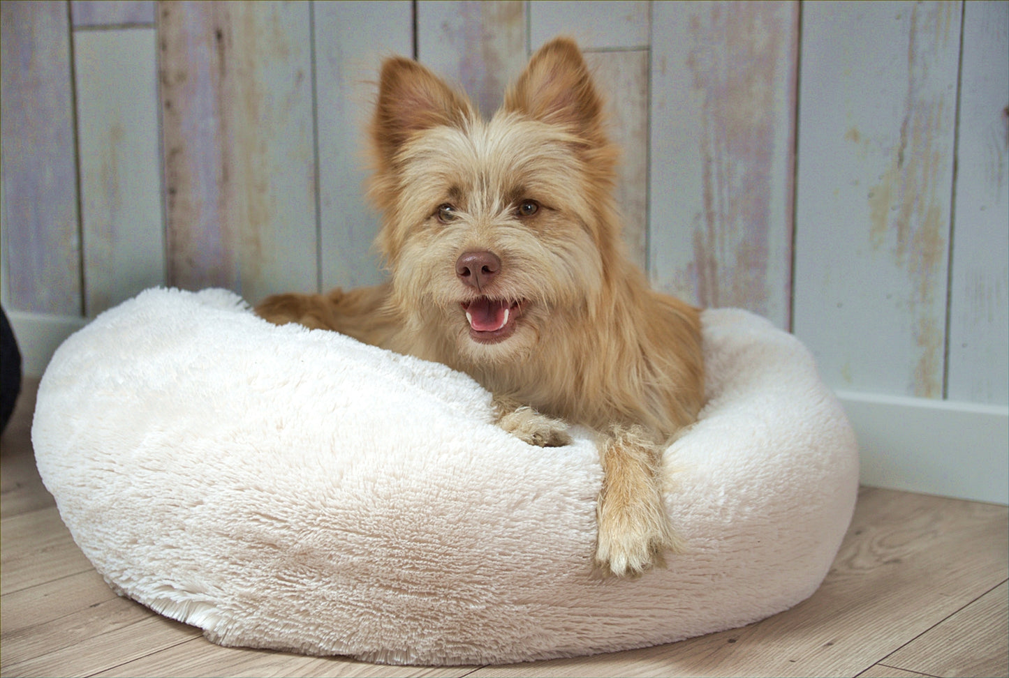 OUTLET przytulne legowisko pluszowe dla psa FUZZY, rozmiar: Ø 70cm, kolor: biały