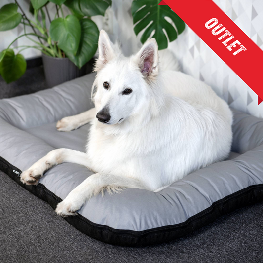 OUTLET Wodoodporny materac dla psa ponton KLEO 120x100 cm, 140x120 cm