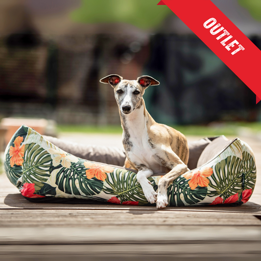 OUTLET przytulne legowisko dla psa lub kota DARIO TROPIC