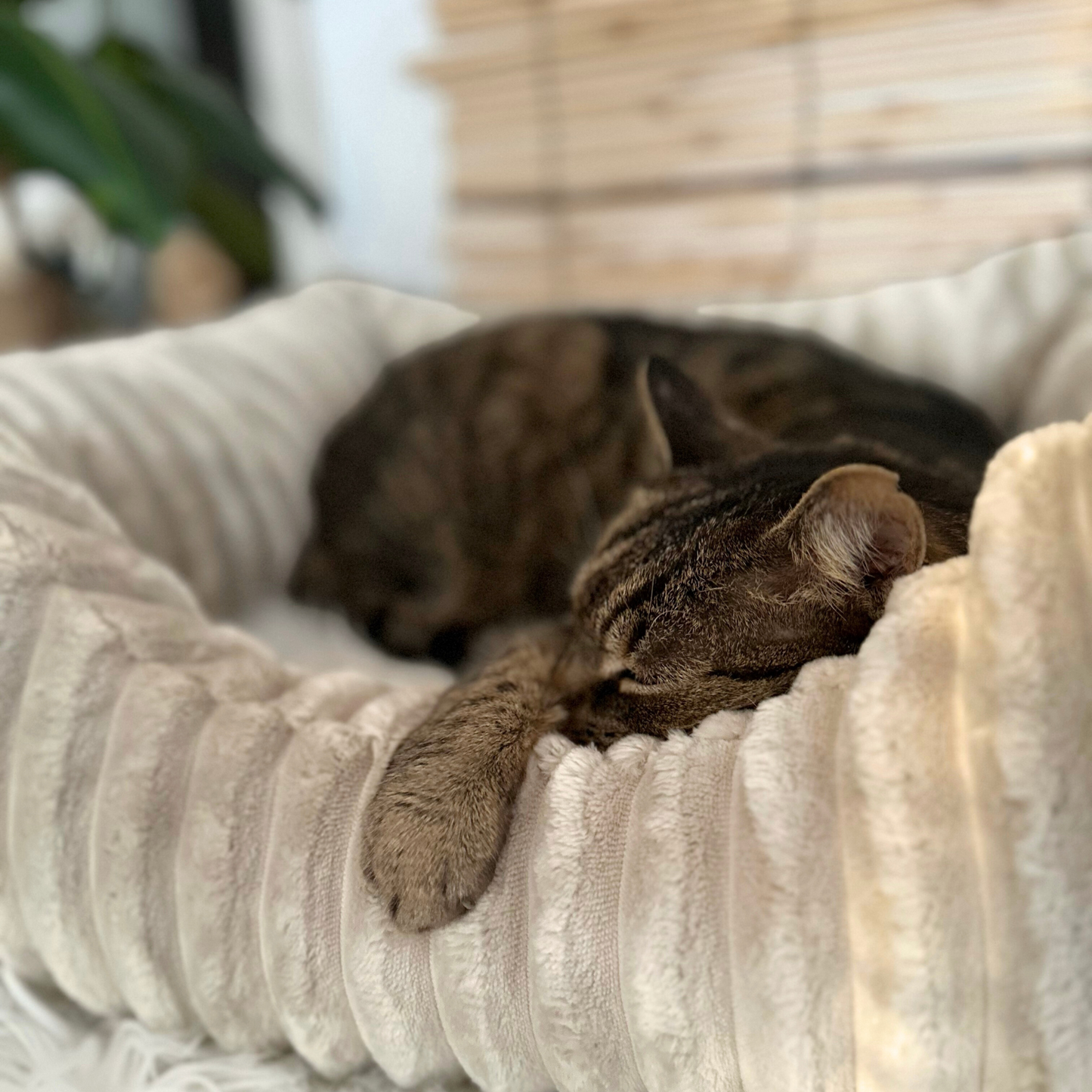 Pluszowe legowisko dla kota BELLA