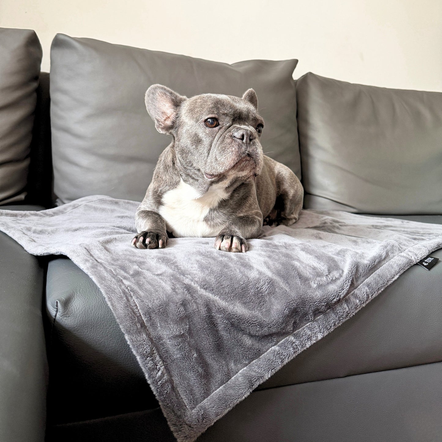 OUTLET przytulny koc dla psa lub kota, rozmiar 100x120 cm, kolor: szary