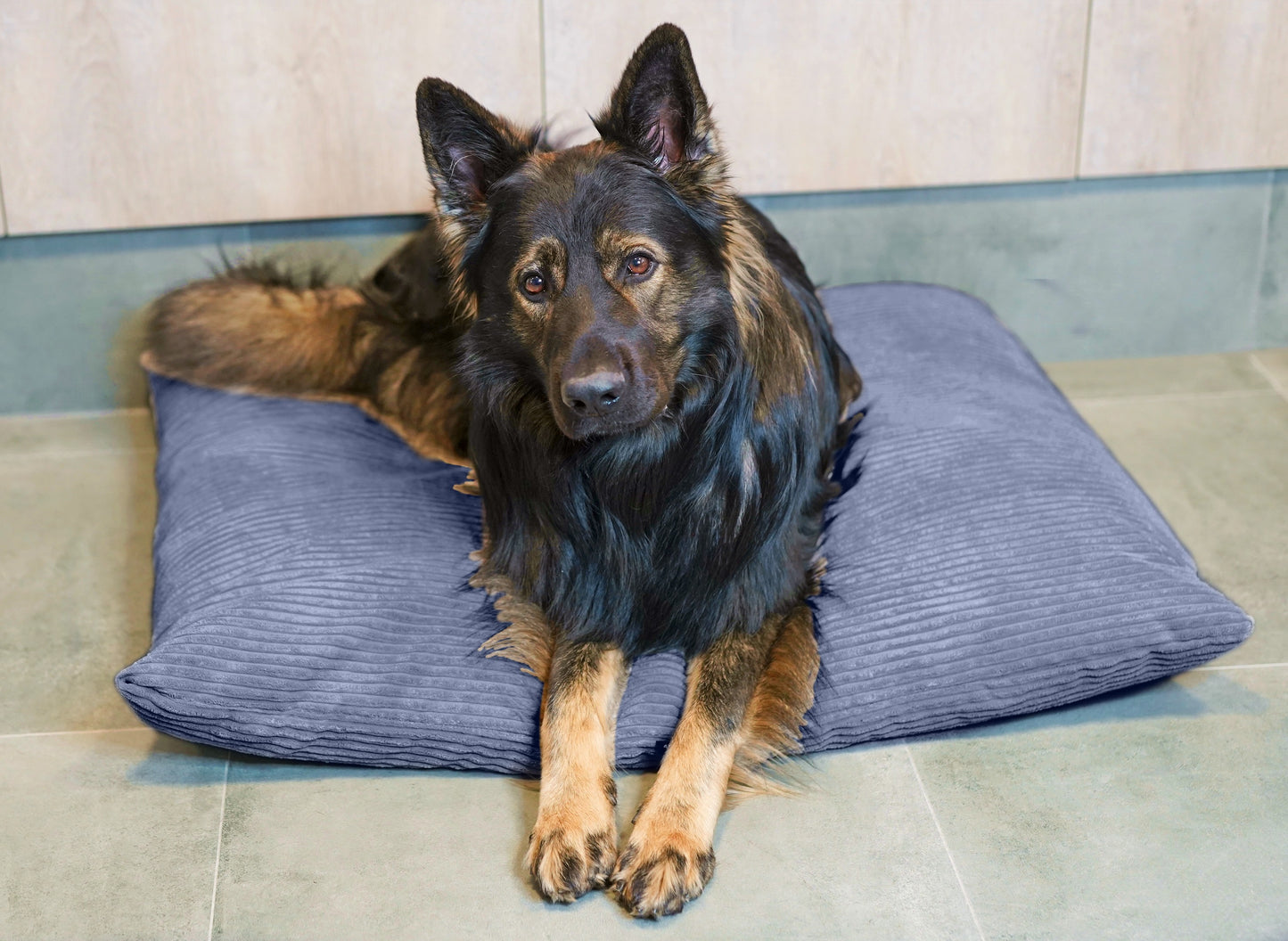 Poduszka dla psa ze sztruksu MOLLY