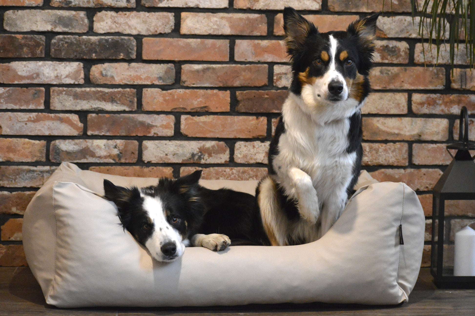 Legowisko dla psa z eko skóry MARIO