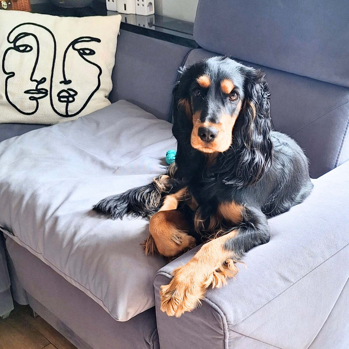 Wodoodporna poduszka dla psa ZOE