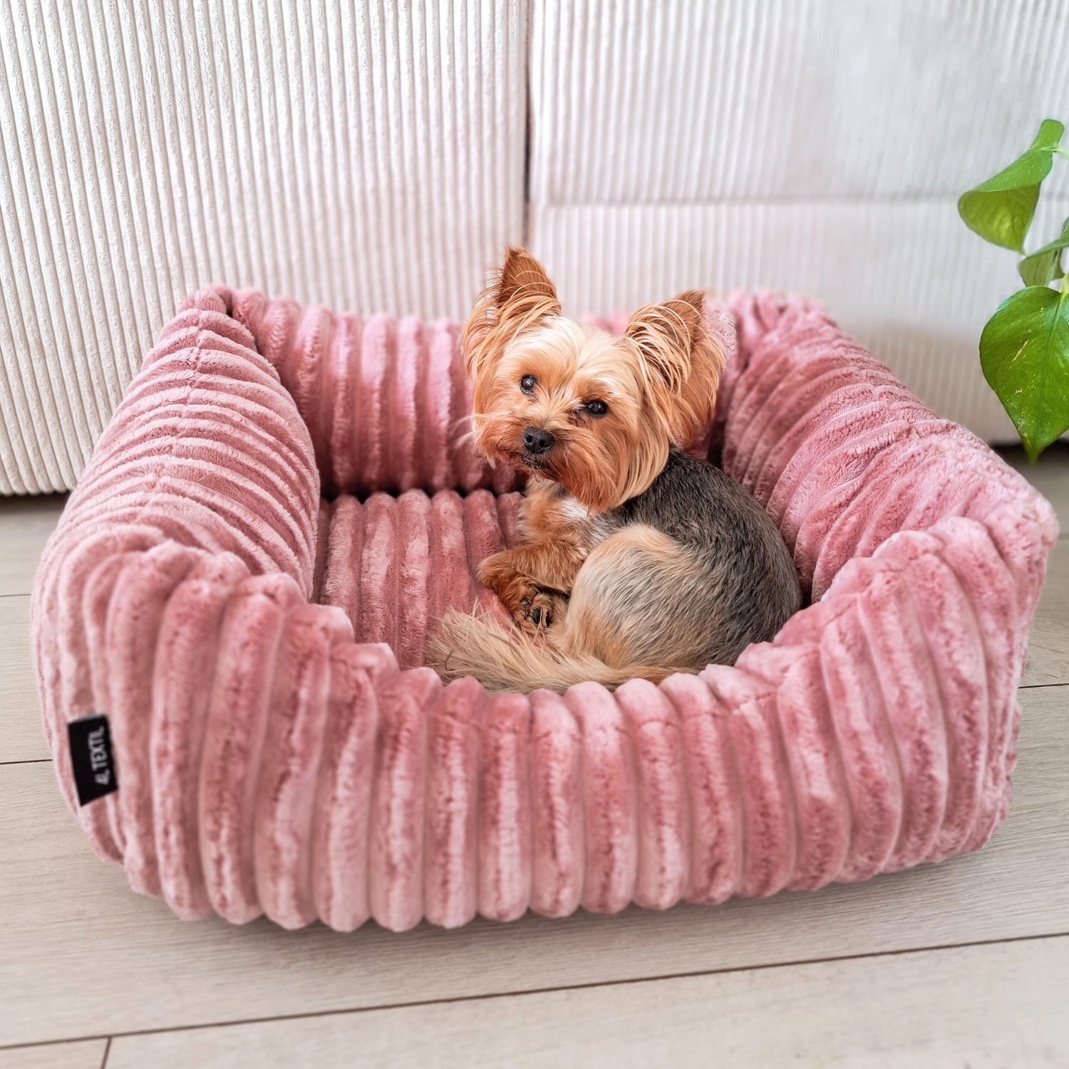 Legowiska dla małych psów