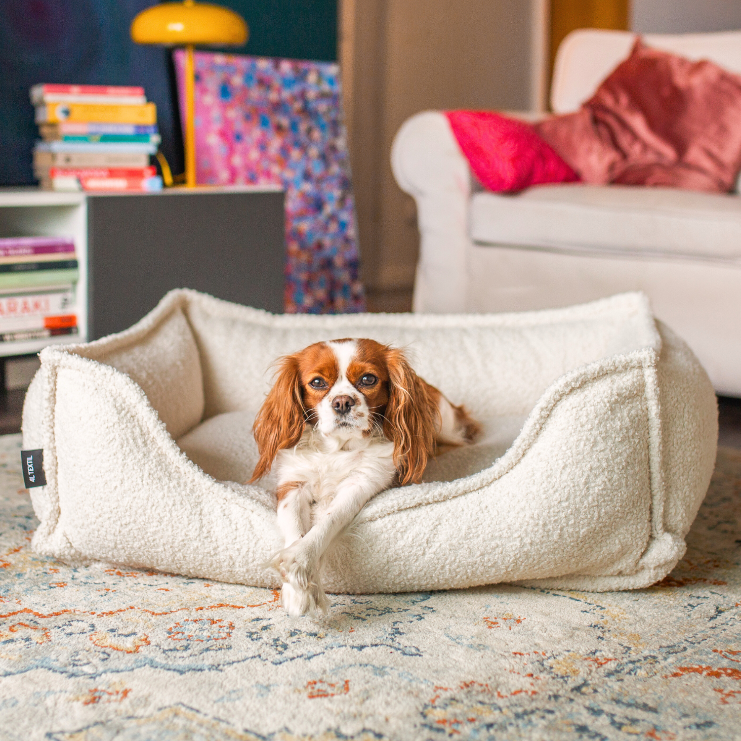 Legowiska dla średnich psów