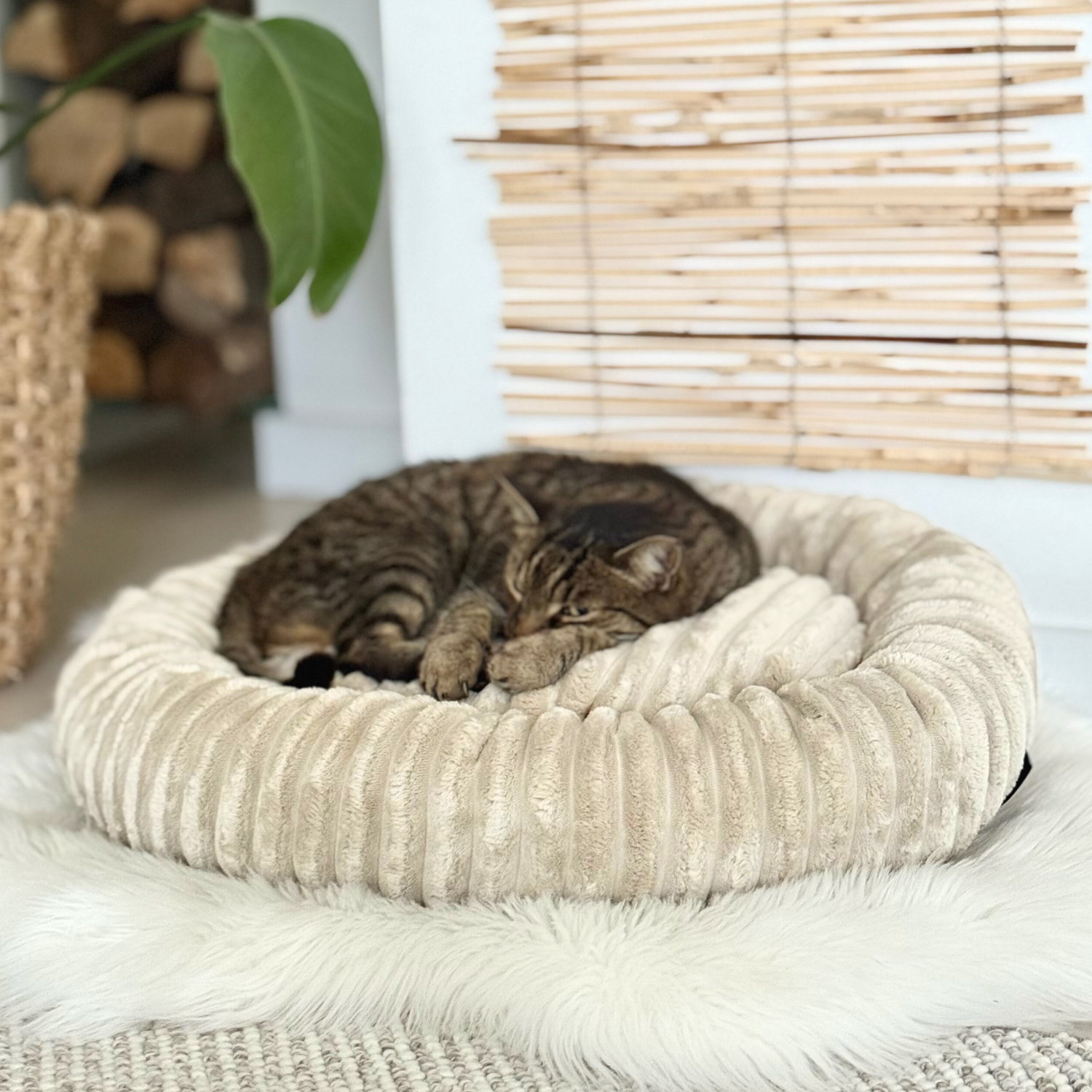 Legowiska dla kotów