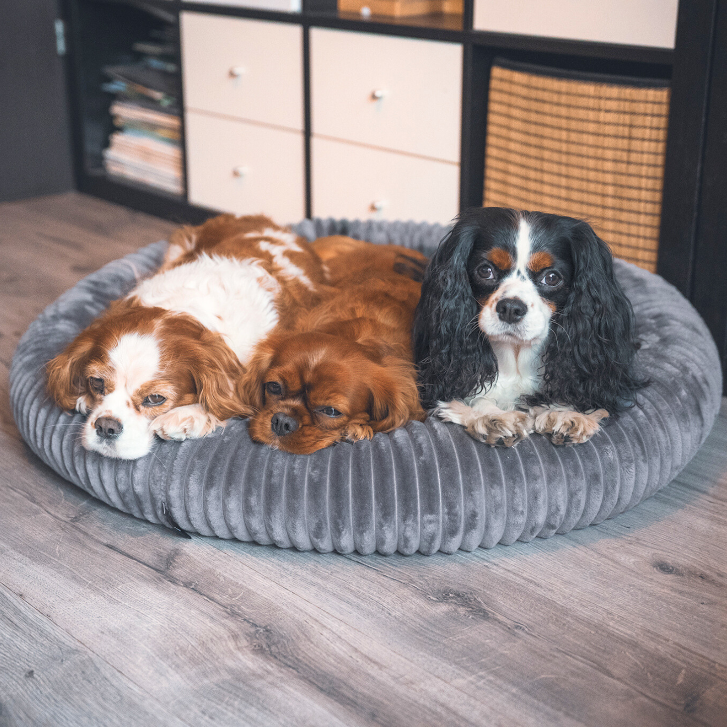 Urocze legowisko dla psa LUNA