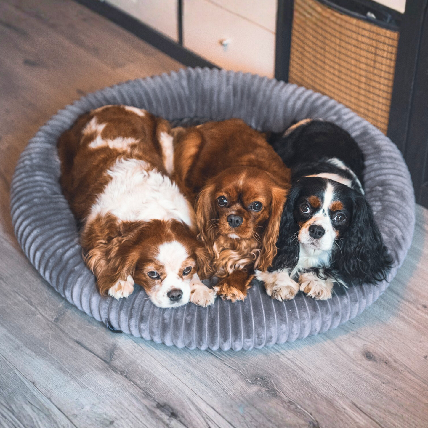 Urocze legowisko dla psa LUNA