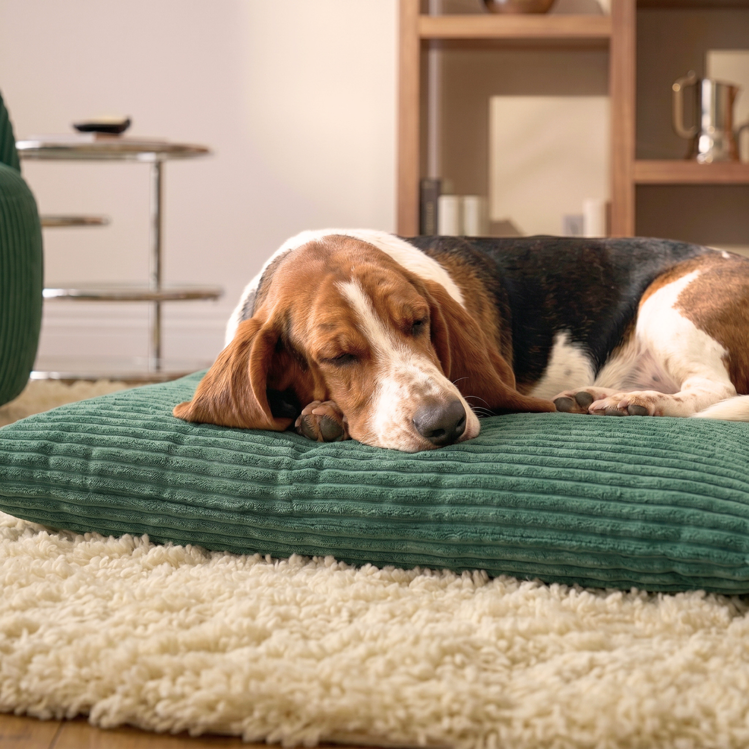 Poduszka dla psa ze sztruksu MOLLY