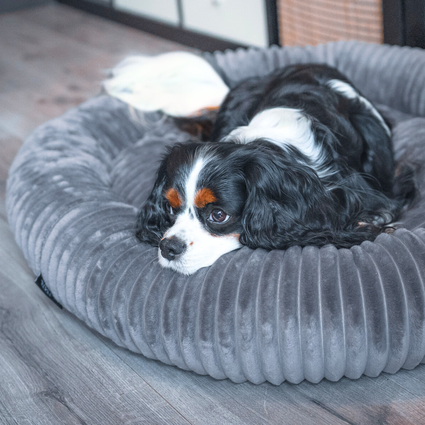 Urocze legowisko dla psa LUNA