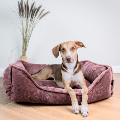 Seria PREMIUM - ortopedyczne legowisko dla psa IRIS