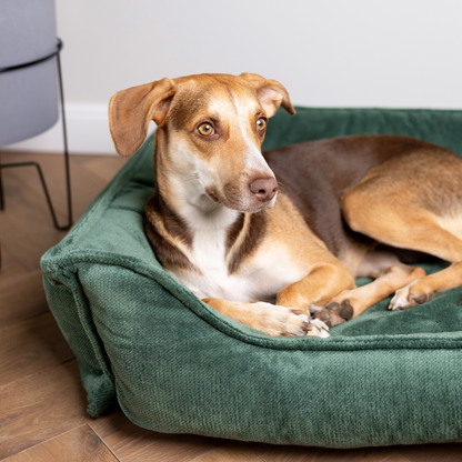 Seria PREMIUM - ortopedyczne legowisko dla psa IRIS