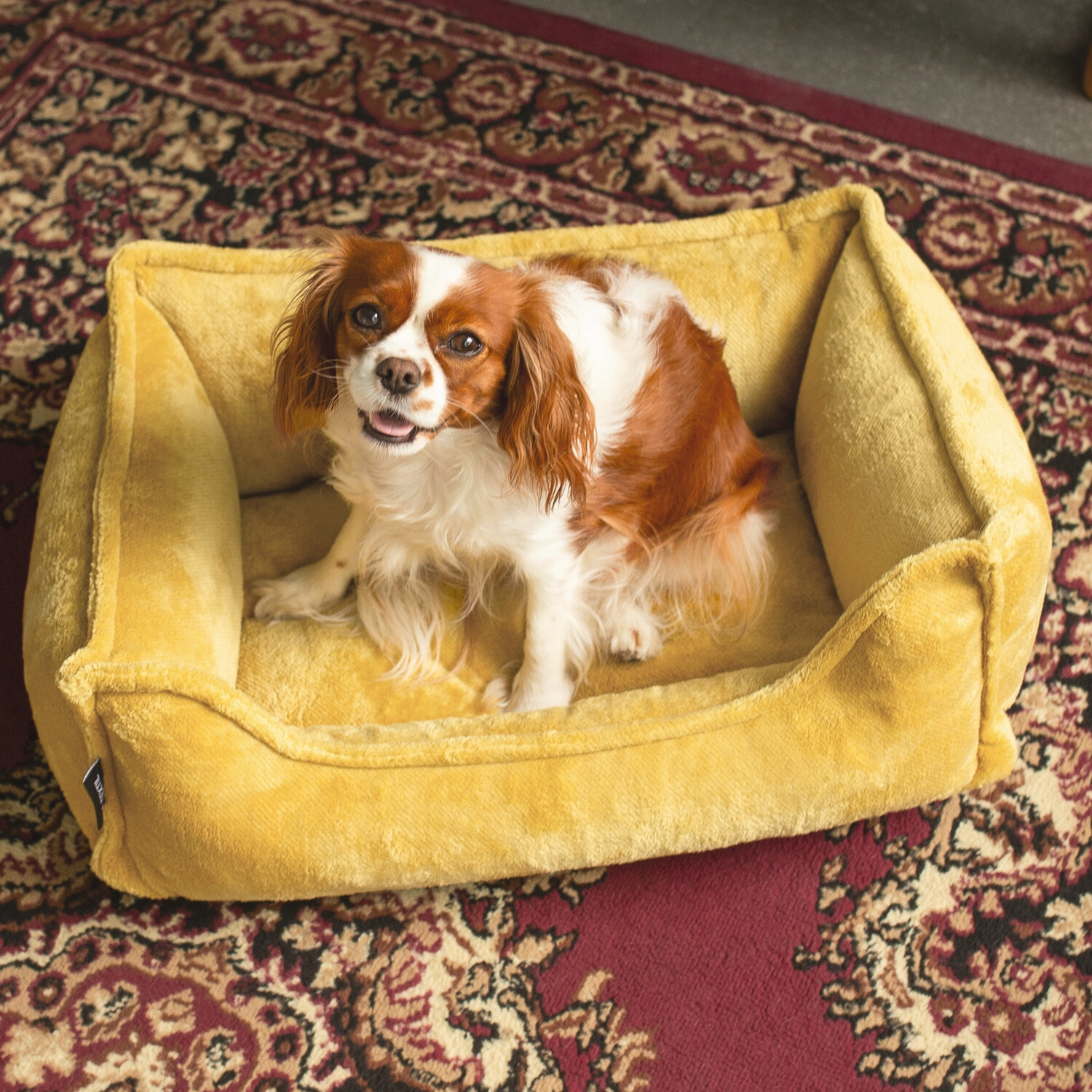 Seria PREMIUM - ortopedyczne legowisko dla psa IRIS