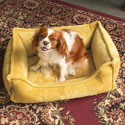 Seria PREMIUM - ortopedyczne legowisko dla psa IRIS