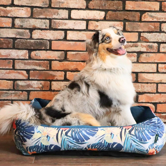 OUTLET przytulne legowisko dla psa lub kota DARIO TROPIC