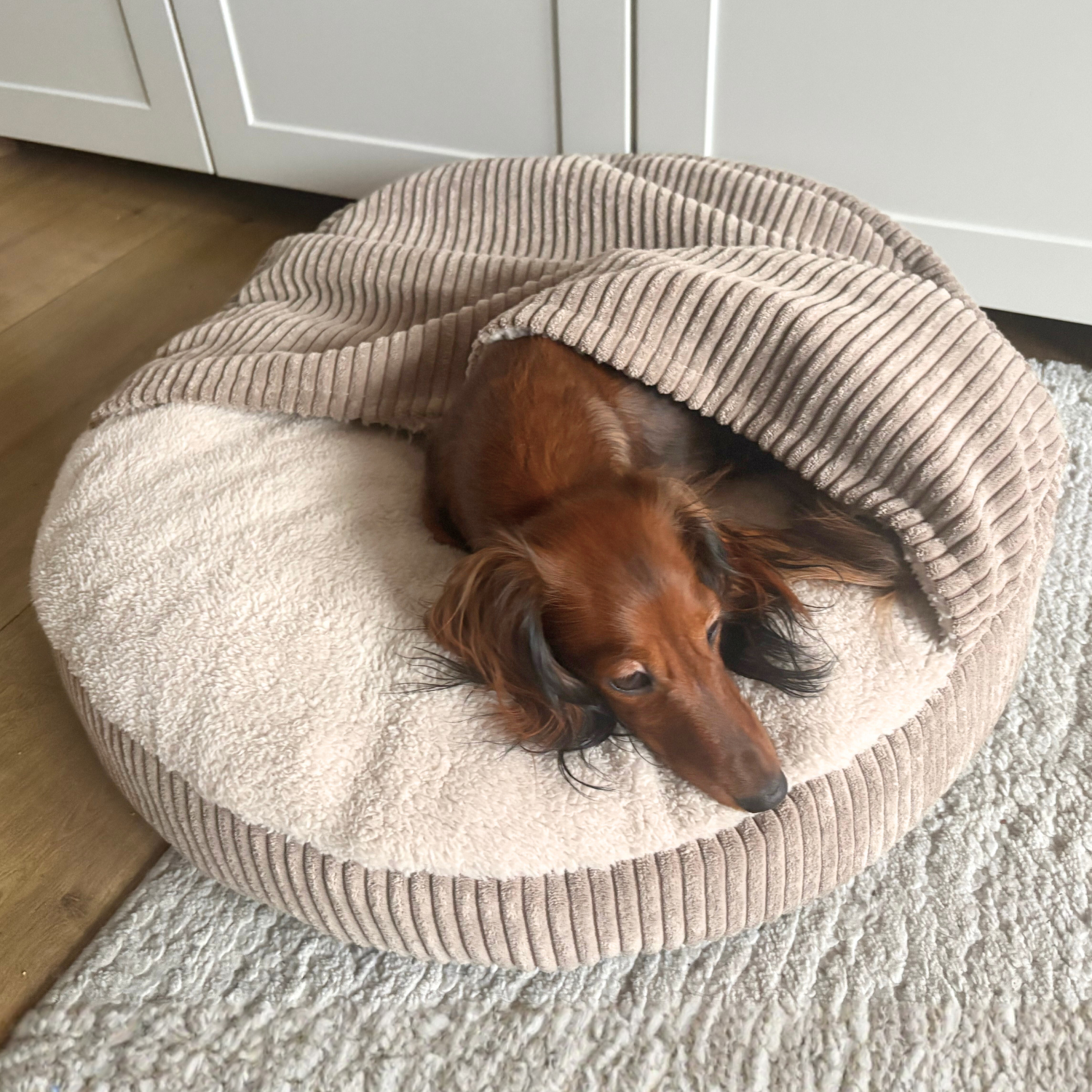 Legowisko z kapturem VIGO