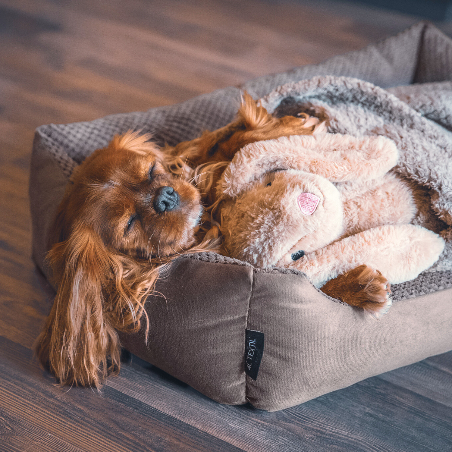 Przytulne legowisko dla psa TEO