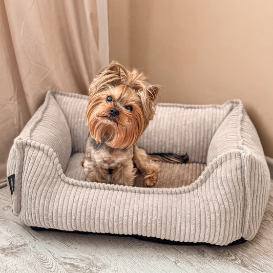 Seria PREMIUM - ortopedyczne sztruksowe legowisko dla psa HUGO