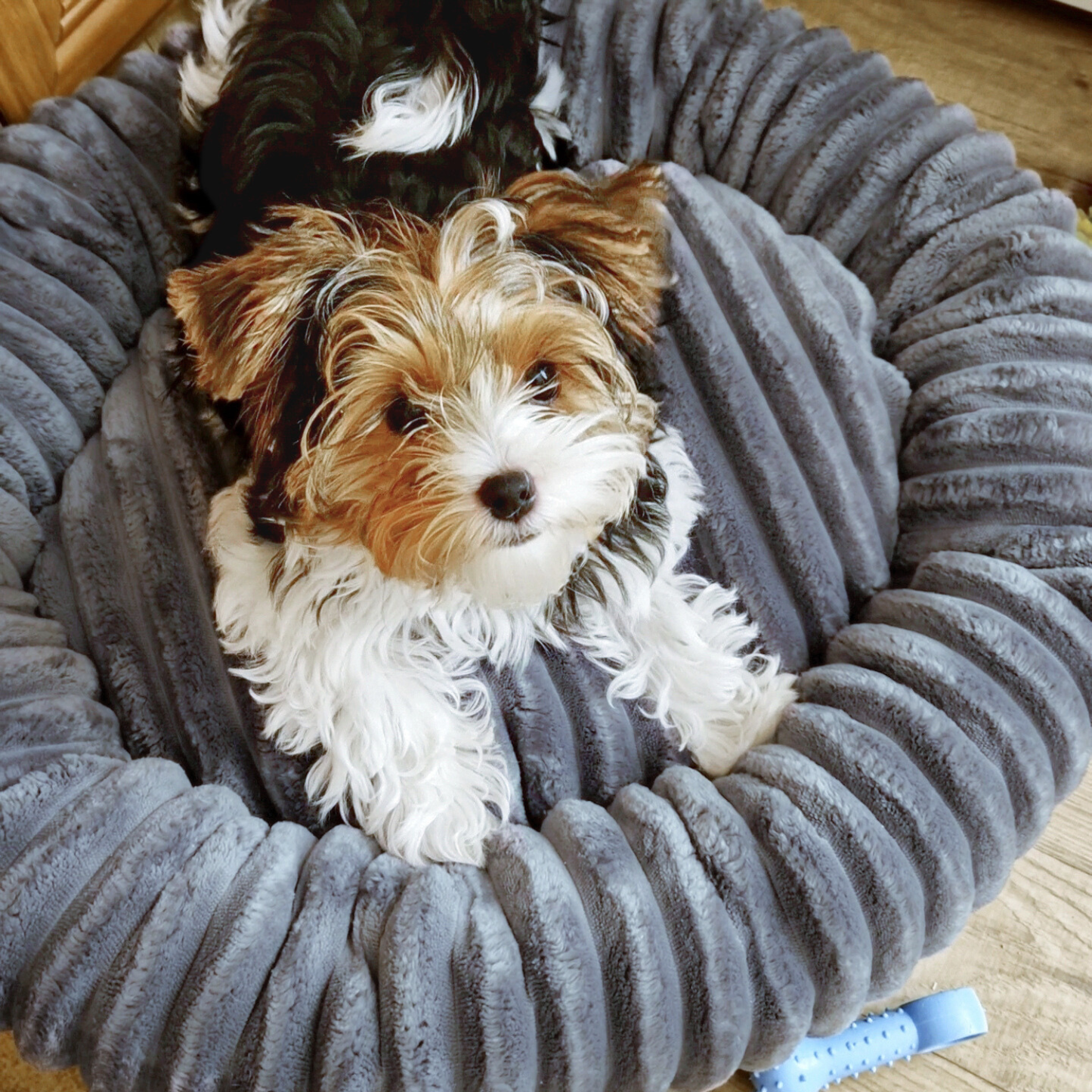 Urocze legowisko dla psa LUNA