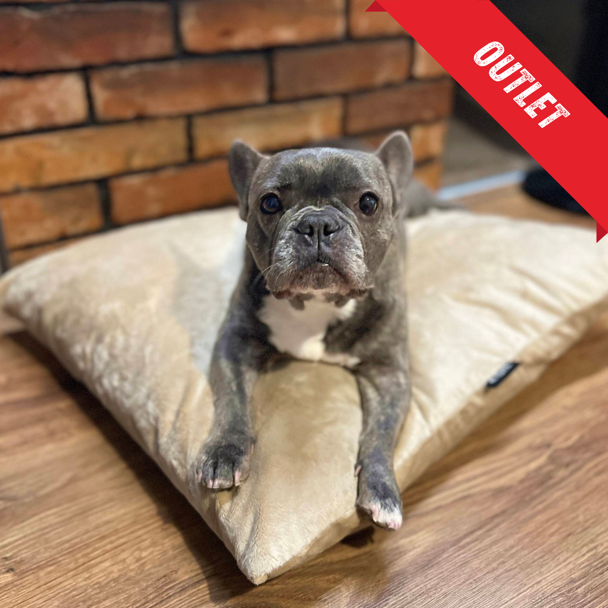 OUTLET Miękka poduszka dla psa MALIBU, rozmiar 60x50 cm