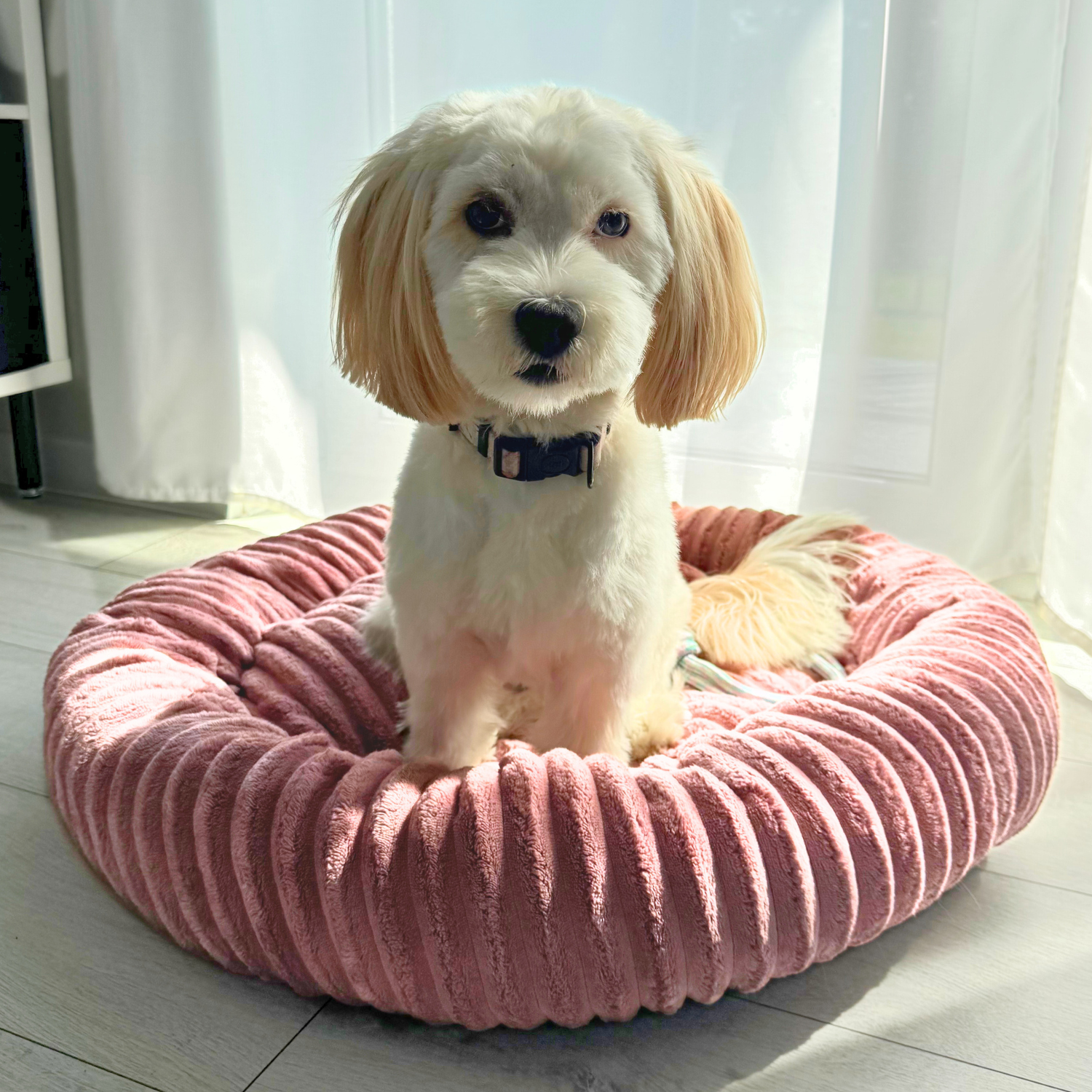 Urocze legowisko dla psa LUNA