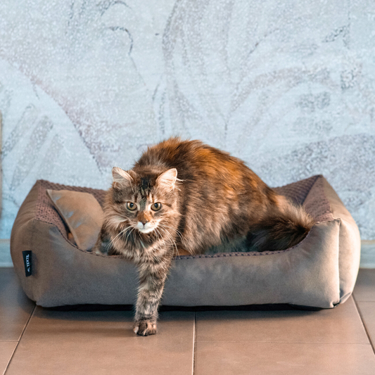 Przytulne legowisko dla kota TEO
