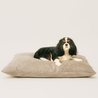 Poduszka dla psa ze sztruksu MOLLY