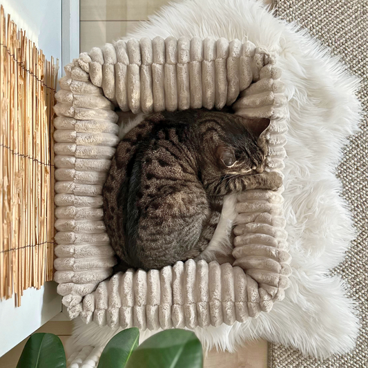Pluszowe legowisko dla kota BELLA