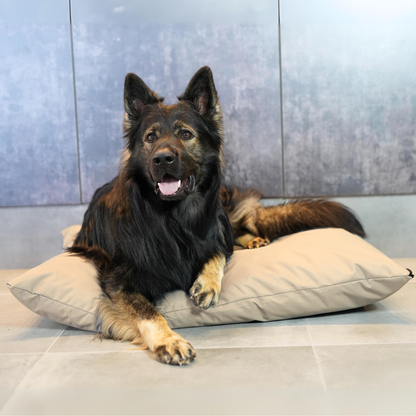 Wodoodporna poduszka dla psa ZOE