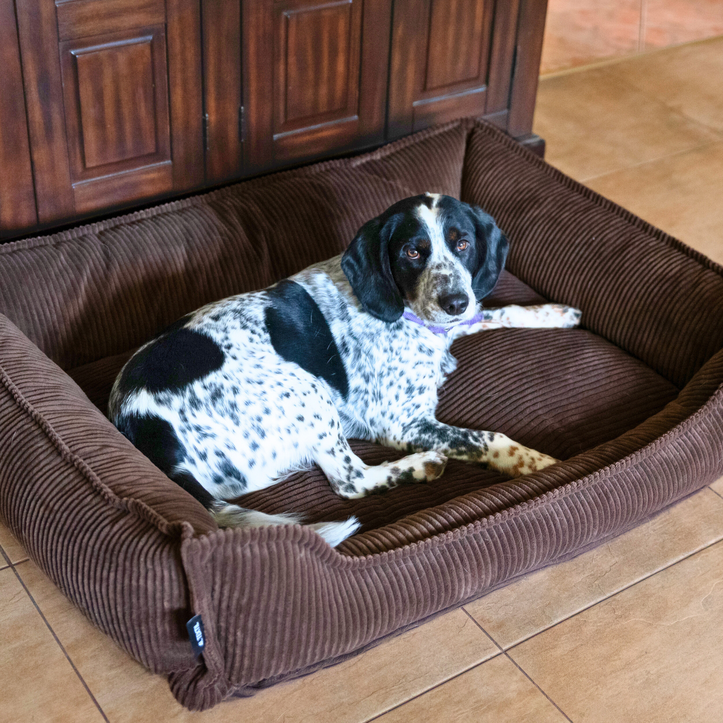 Seria PREMIUM - ortopedyczne sztruksowe legowisko dla psa HUGO