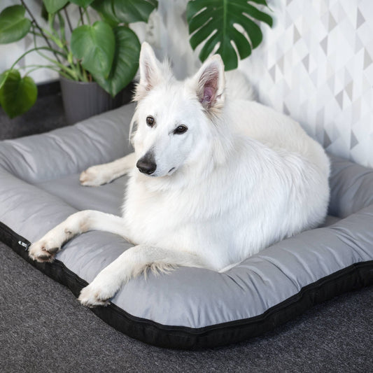 OUTLET wodoodporny materac dla psa ponton KLEO, rozmiar 2: 110x90 cm, kolor: szary