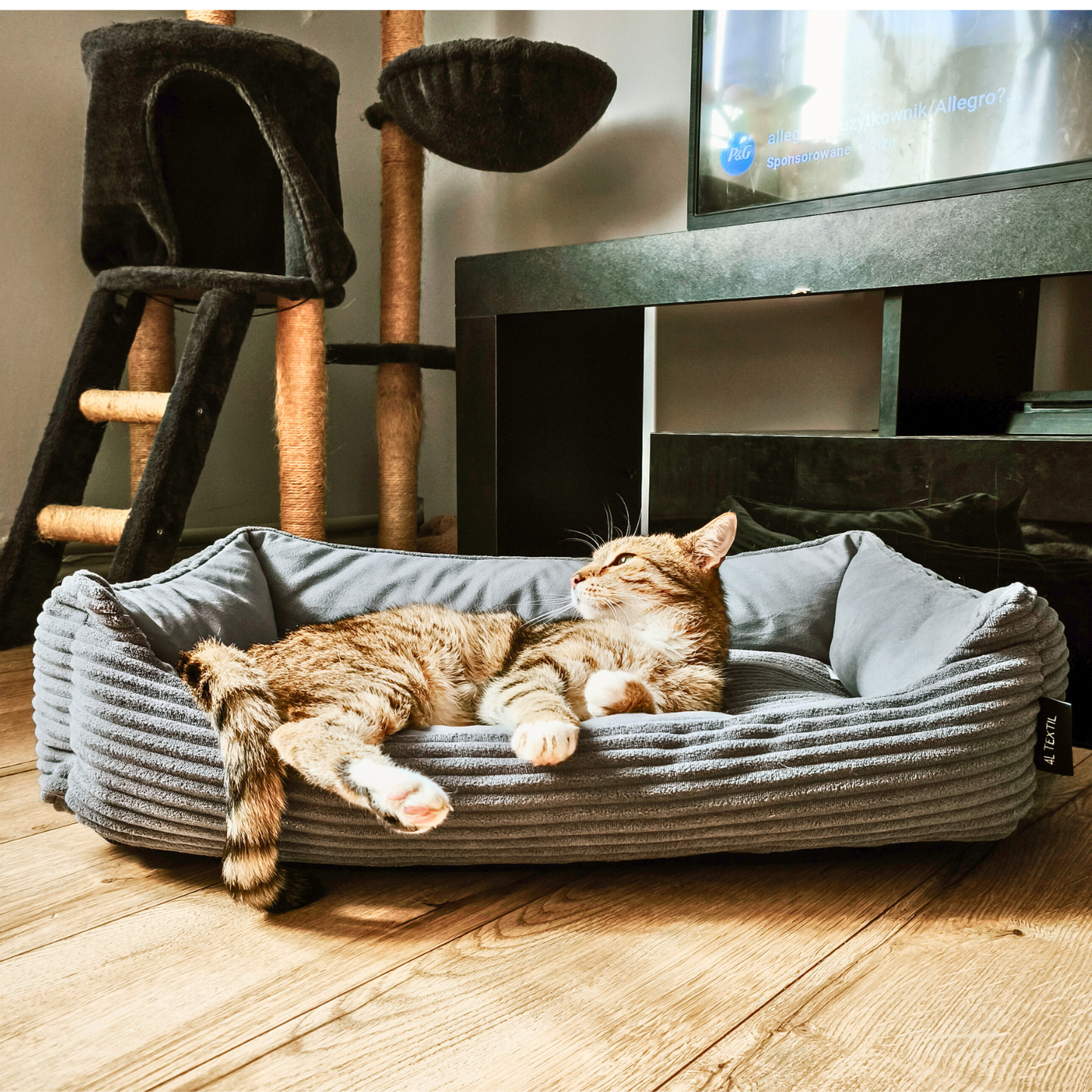 Sztruksowe legowisko dla kota MOLLY