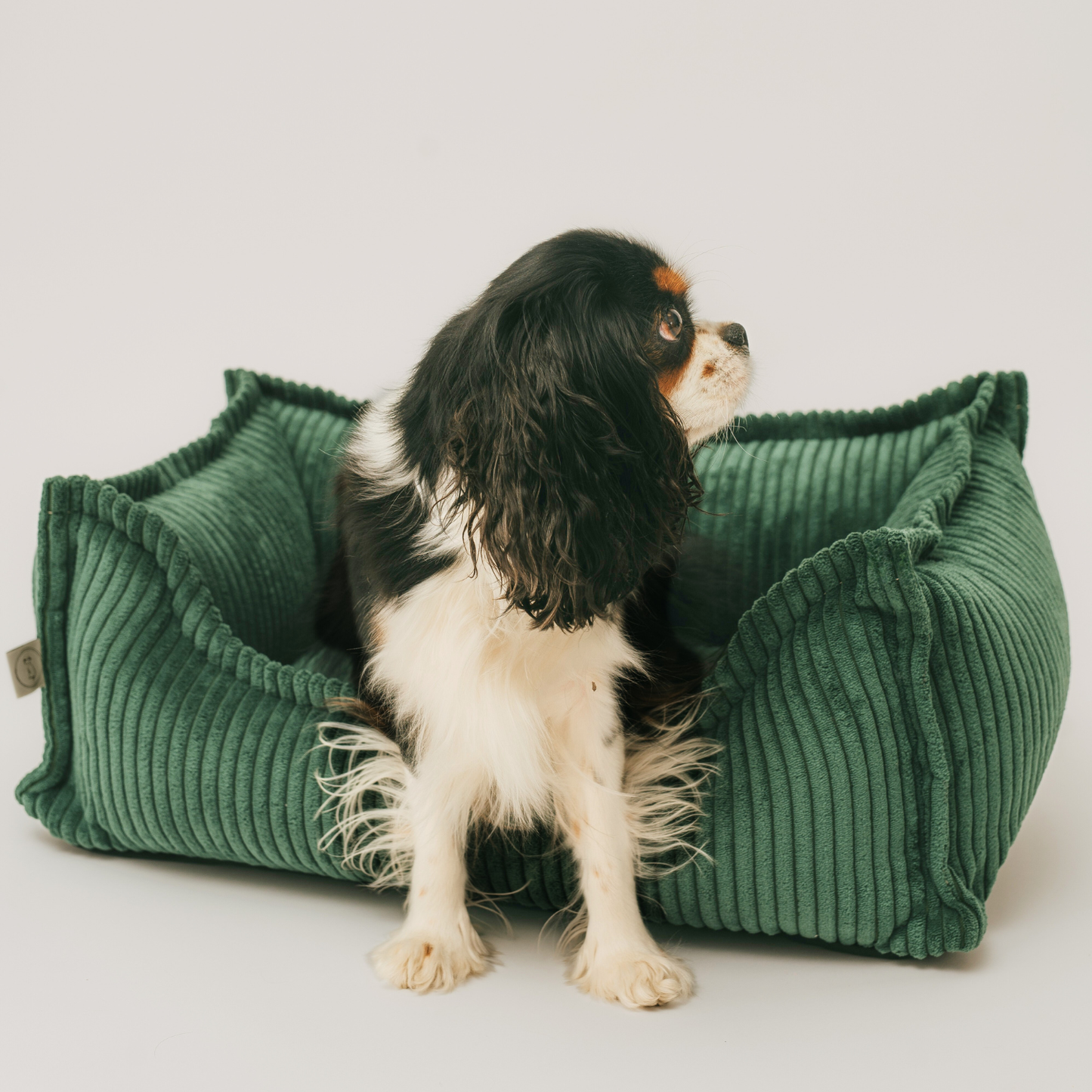 Seria PREMIUM - ortopedyczne sztruksowe legowisko dla psa HUGO