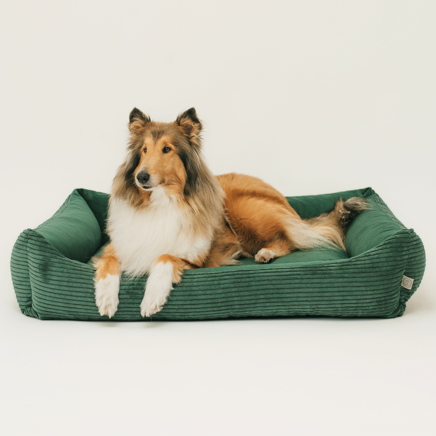 Sztruksowe legowisko dla psa MOLLY