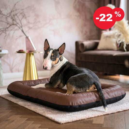 OUTLET Legowisko ponton dla psa z eko skóry ELLA kolor: brąz, rozmiar: 130x110 cm