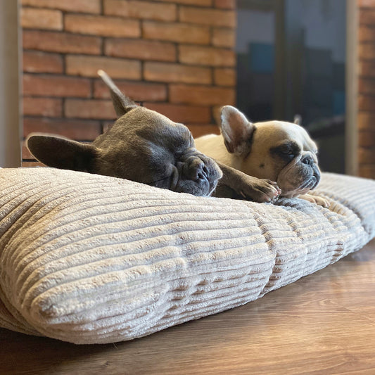 OUTLET poduszka dla psa ze sztruksu MOLLY rozmiar 2: 80x60 cm, kolor: beż